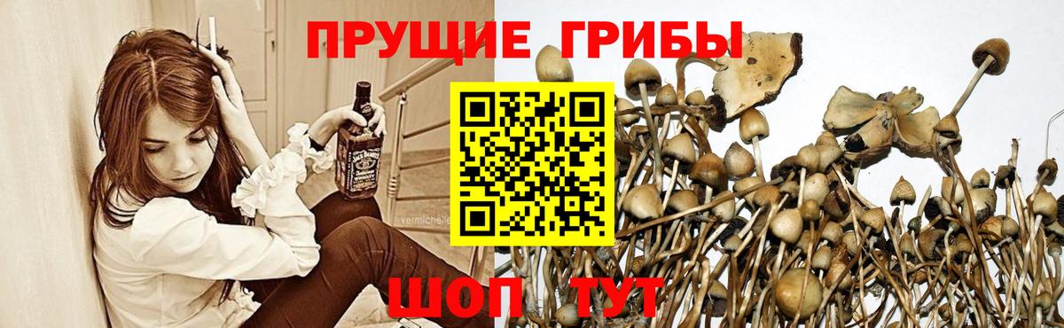 Галлюциногенные грибы мухоморы Железноводск