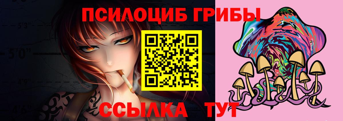 Железноводск  Псилоцибиновые грибы Psilocybine cubensis  купить наркотик  Вход с VPN  Галлюциногенные грибы Psilocybine cubensis 